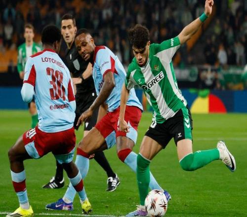 大乐透期号,专家精准推,保加利亚分,NG娱乐官网,NG娱乐官网入口,NG娱乐官方网址,NG娱乐国际厅,NG娱乐平台官方,NG娱乐棋牌,NG大舞台