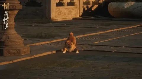 中国田协详解路跑赛事公平公正与规范化管理措施