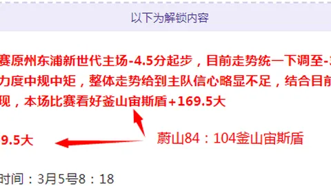 2025年宣城青少年羽球赛：宣州再获冠军荣耀